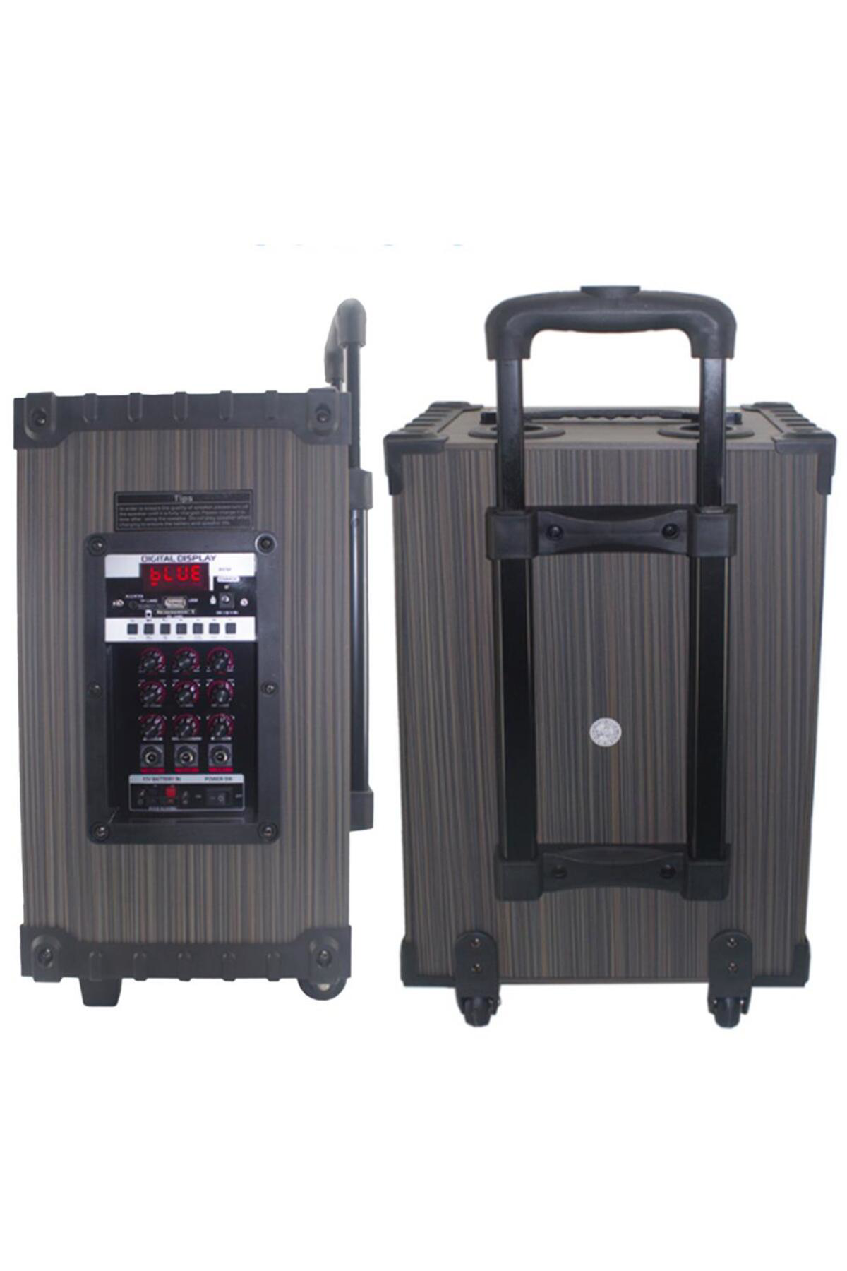 Starkpro Gedi-G Lt-910 Süperbass'li Kumandali,Şarjli Çift Mikrofonlu Taşin