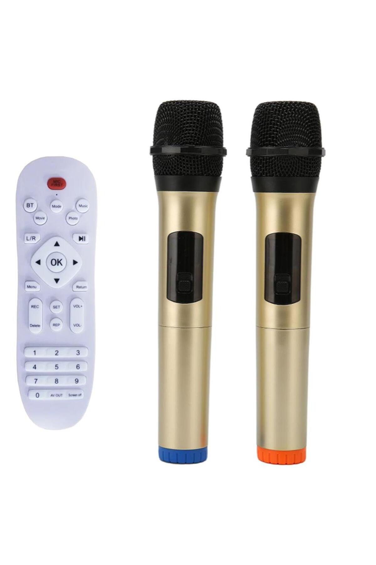 Starkpro Gedi-G Lt-910 Süperbass'li Kumandali,Şarjli Çift Mikrofonlu Taşin