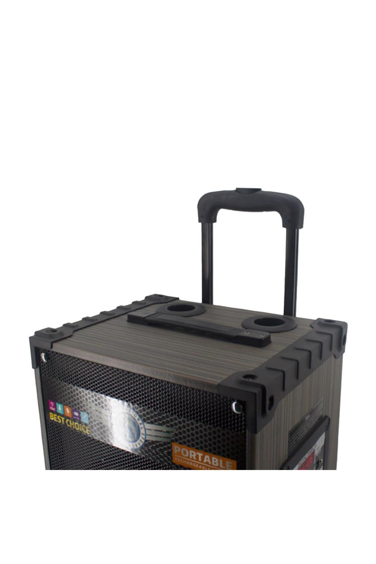 Starkpro Gedi-G Lt-910 Süperbass'li Kumandali,Şarjli Çift Mikrofonlu Taşin