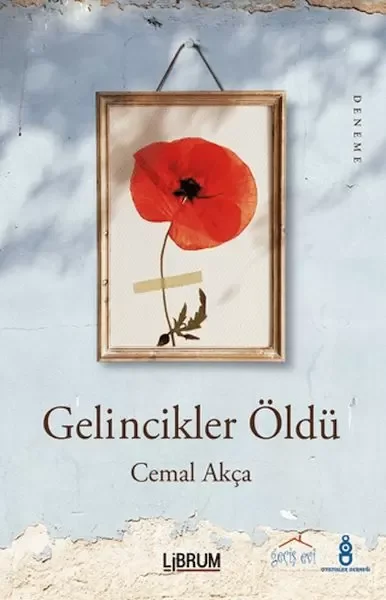 Gelincik Dizisi - Deli Bey
