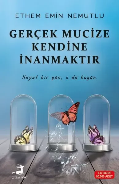 Geniş Topuk Törpüsü 80 ( Lisinya )