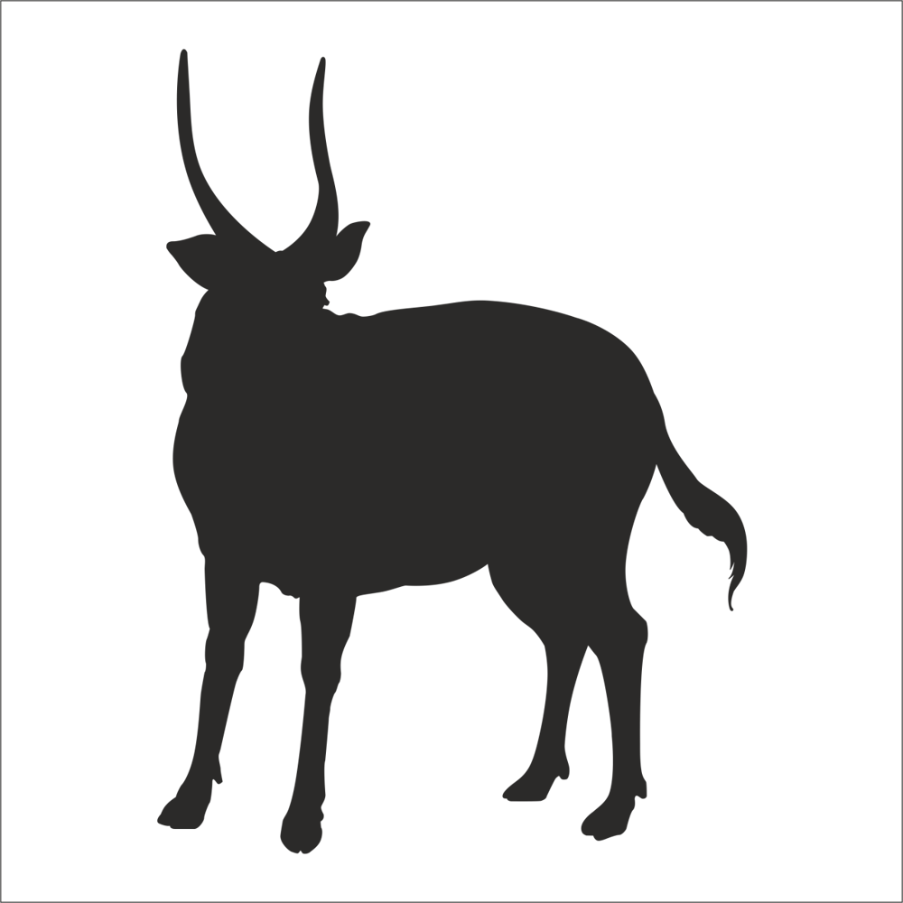 GEYİK FOLYO STİCKER