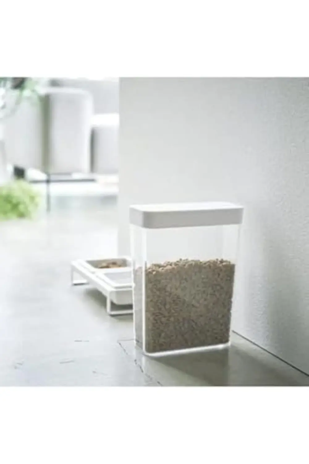 Gıda Kabı Beyaz 395519