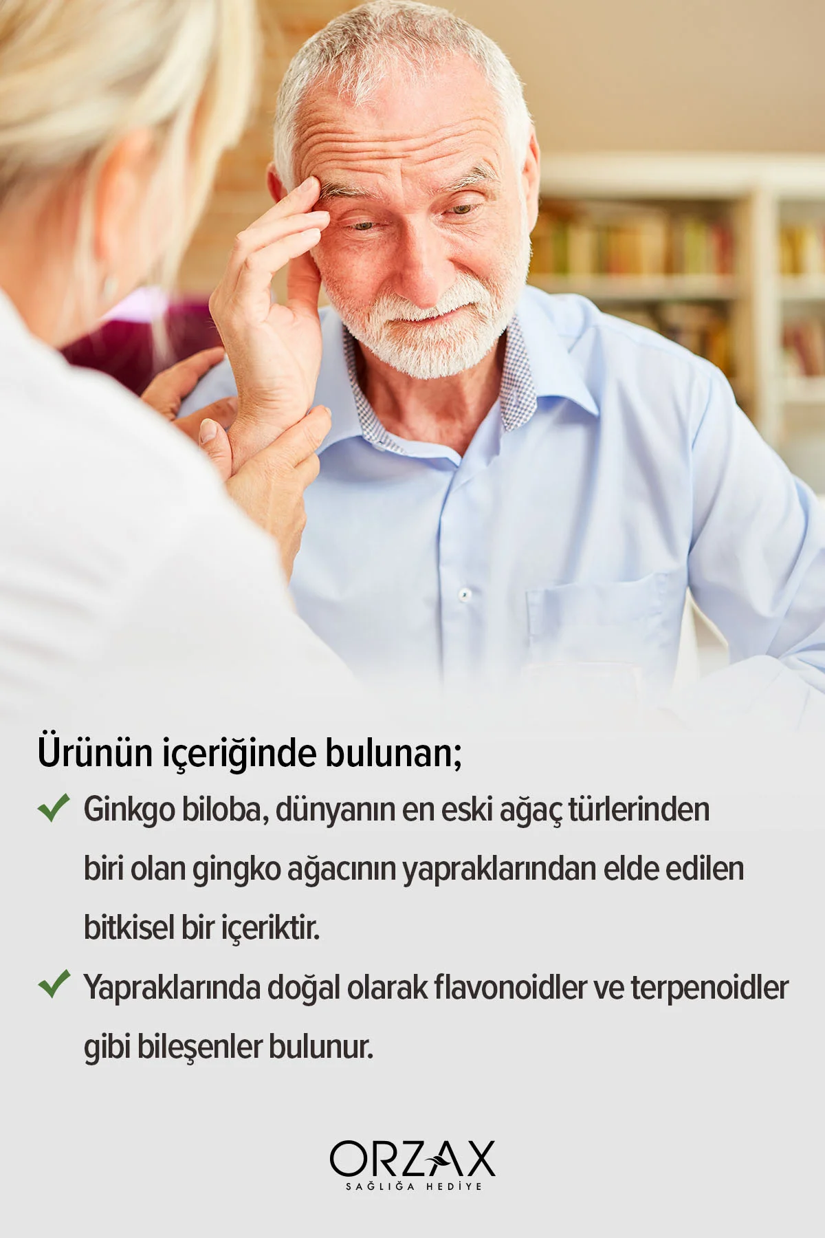 Ginkgo Biloba 30 Kapsül