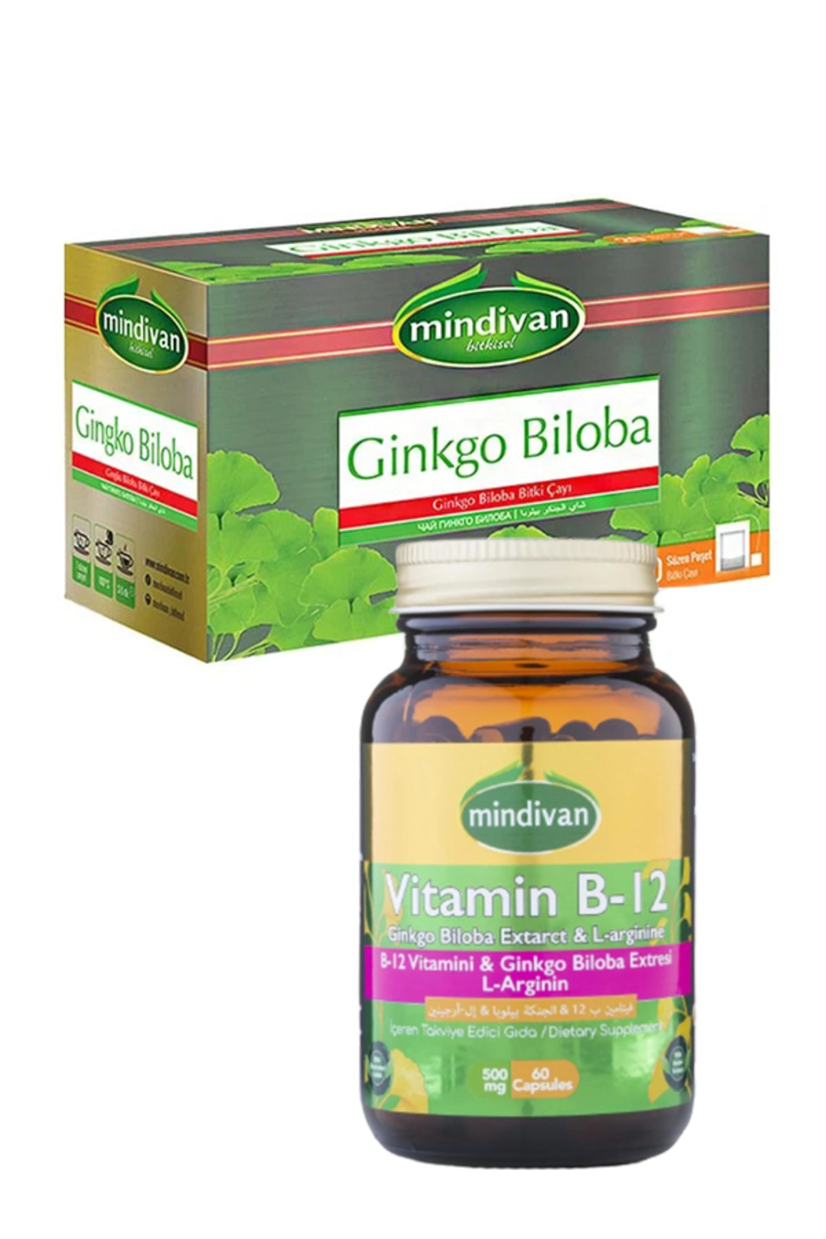 Ginkgo Biloba Bitkisel Ürün Grubu