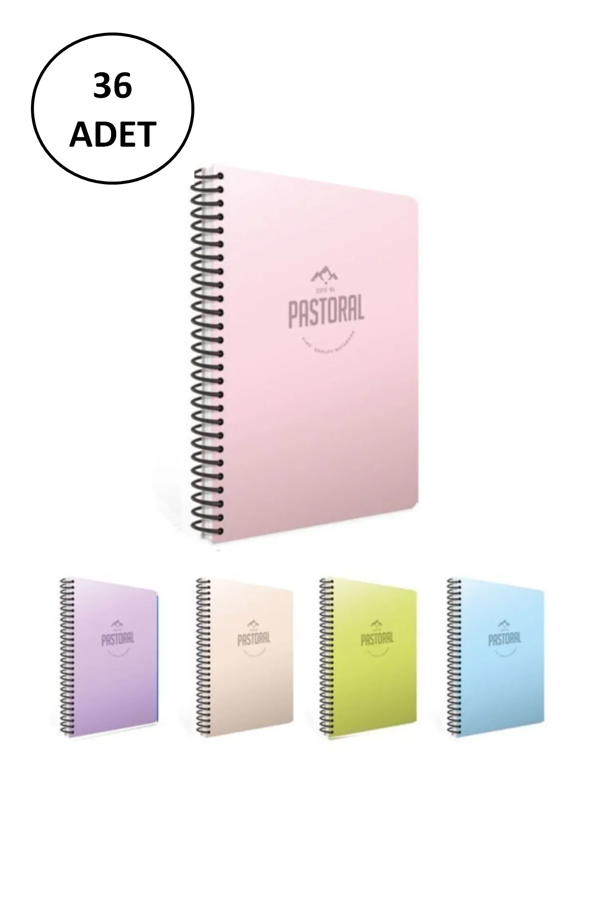 Gıpta A6 Pastoral Spiralli Plastik Kapak Defter 80 Yaprak Çizgili Gıpta A6 Pastoral Spiralli Plastik Kapak Defter 80 Yaprak Çizgili