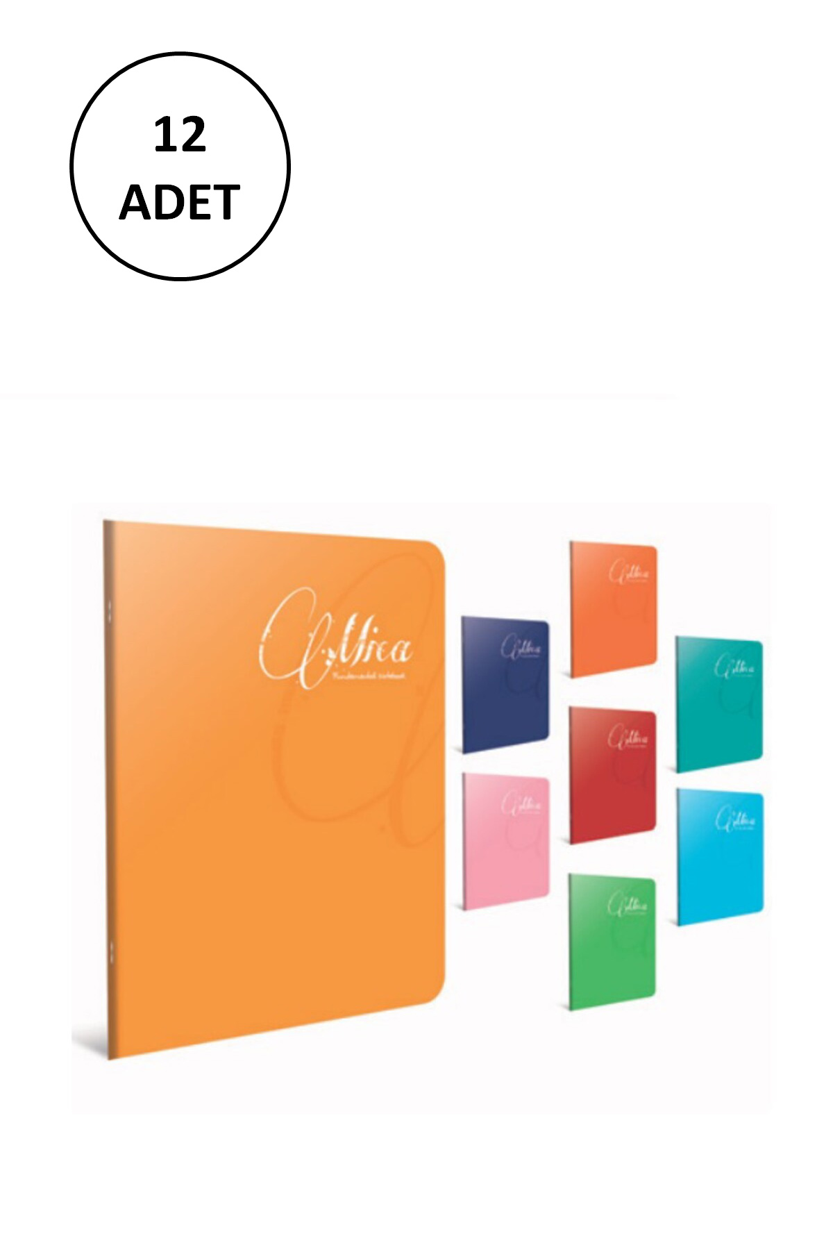 Gıpta Mica A4 Tel Dikişli Pp Kapak Defter 120 Yaprak Kareli(12 Ad Gıpta Mica A4 Tel Dikişli Pp Kapak Defter 120 Yaprak Kareli(12 Ad