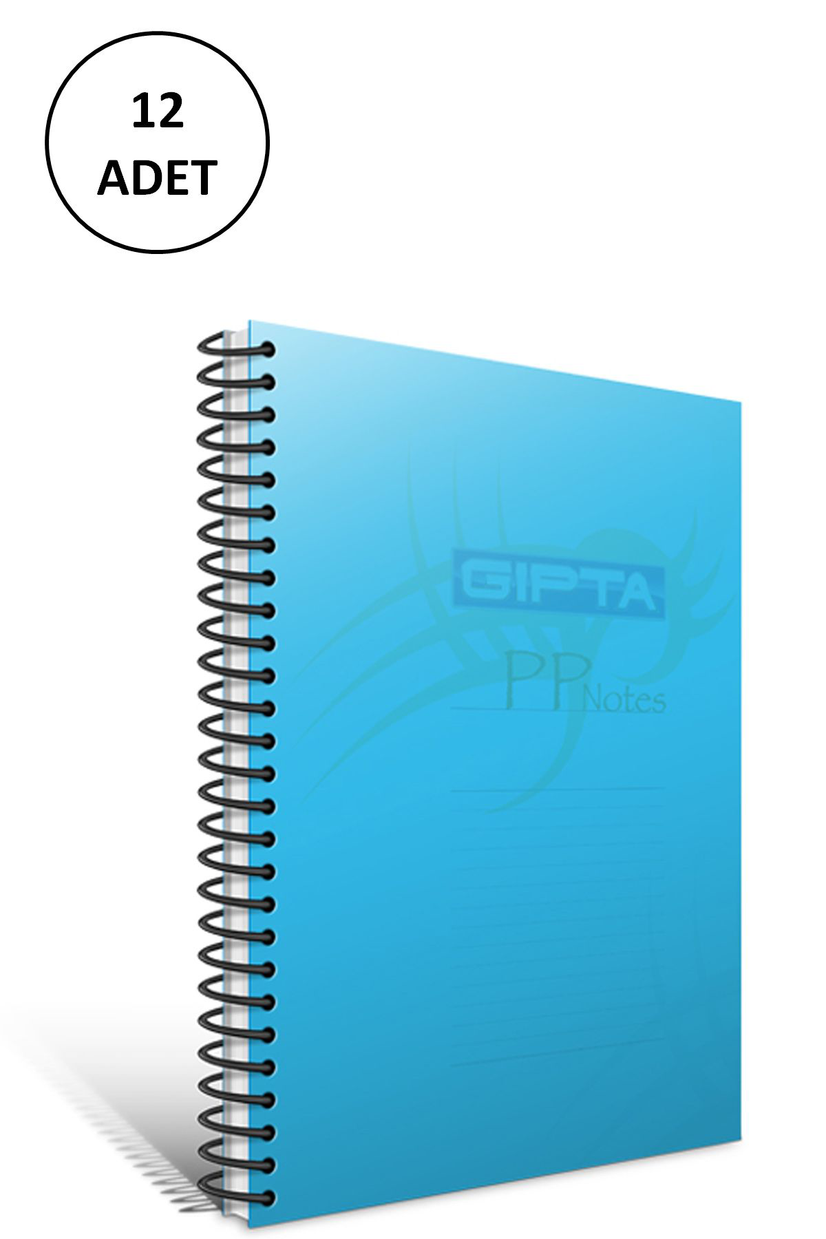 Just Cheap Store Gipta Spiralli Defter Eko Plastik Kapak Kareli 80 Yp A4 12 Adet