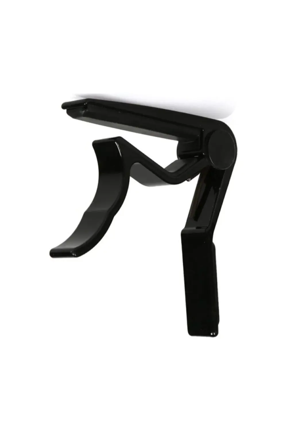 Gitar Ve Bağlama Kaposu