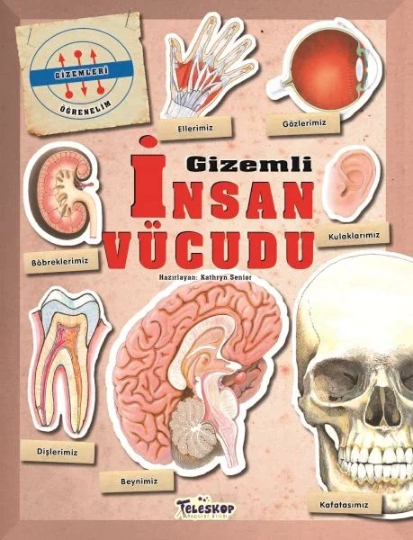 Gizemleri Öğrenelim - Gizemli İnsan Vücudu Fiyatı, Yorumları ve Özellikleri