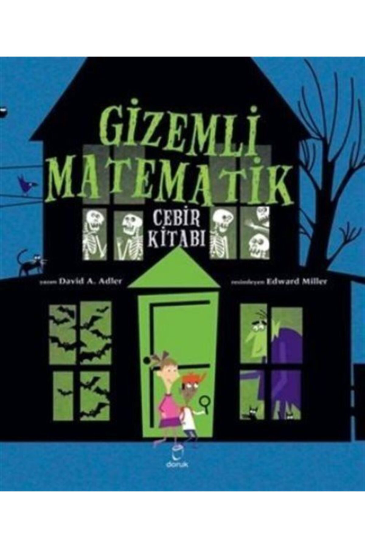 Gizemli Matematik - - David A. Adler Kitabı