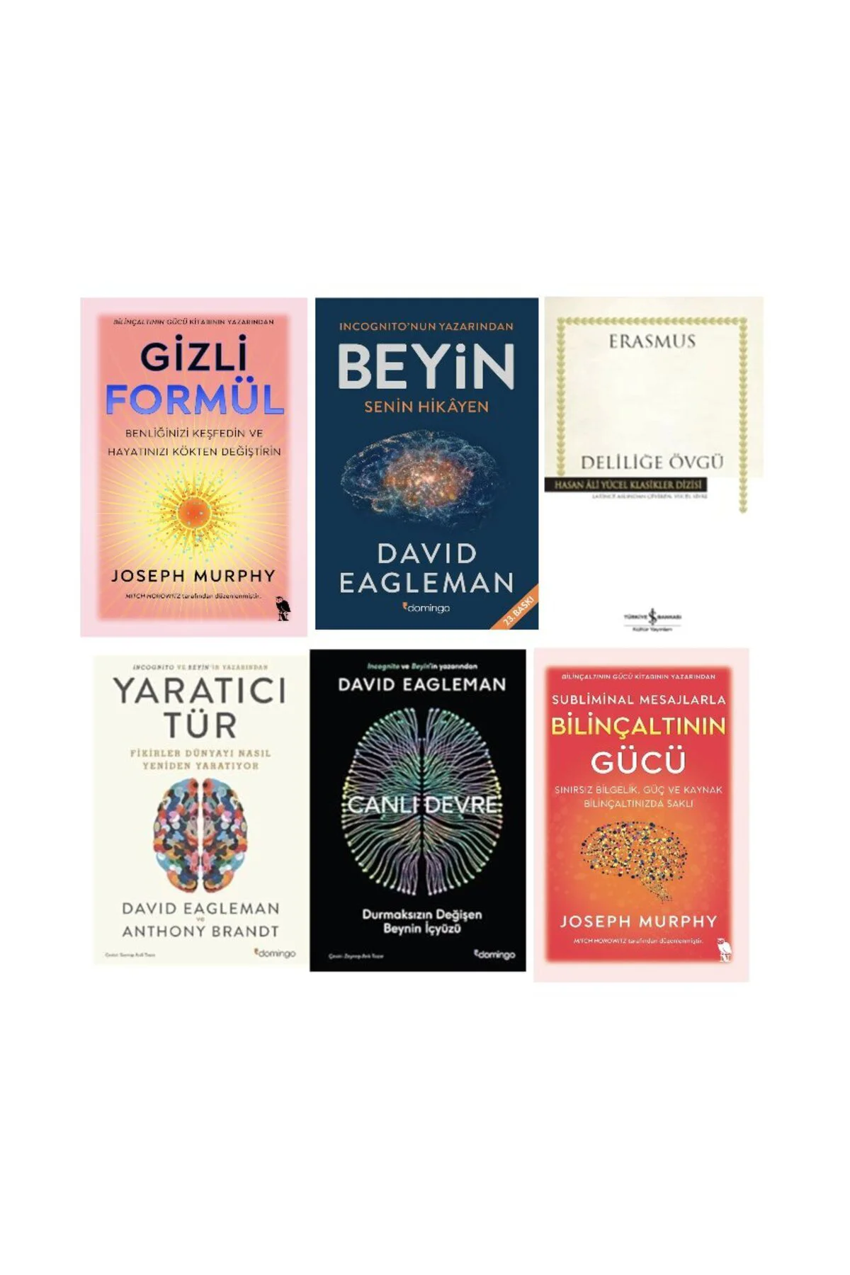 gizli formul+ beyin+delilige ovgu+yaratici tur+canli devre+bilincaltinin gucu=(6 kitap)