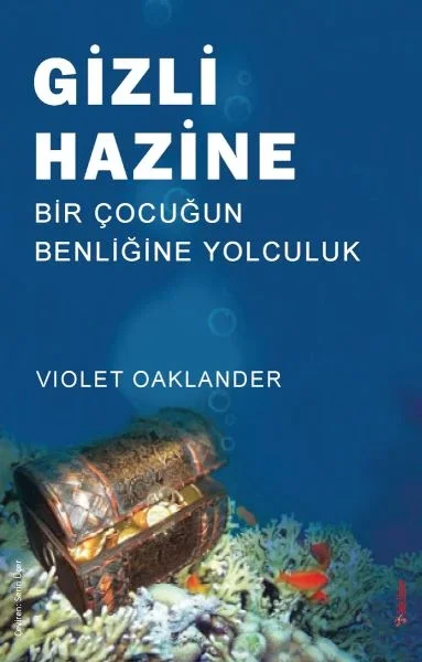 Gizli Hazine Fiyatı, Yorumları ve Özellikleri