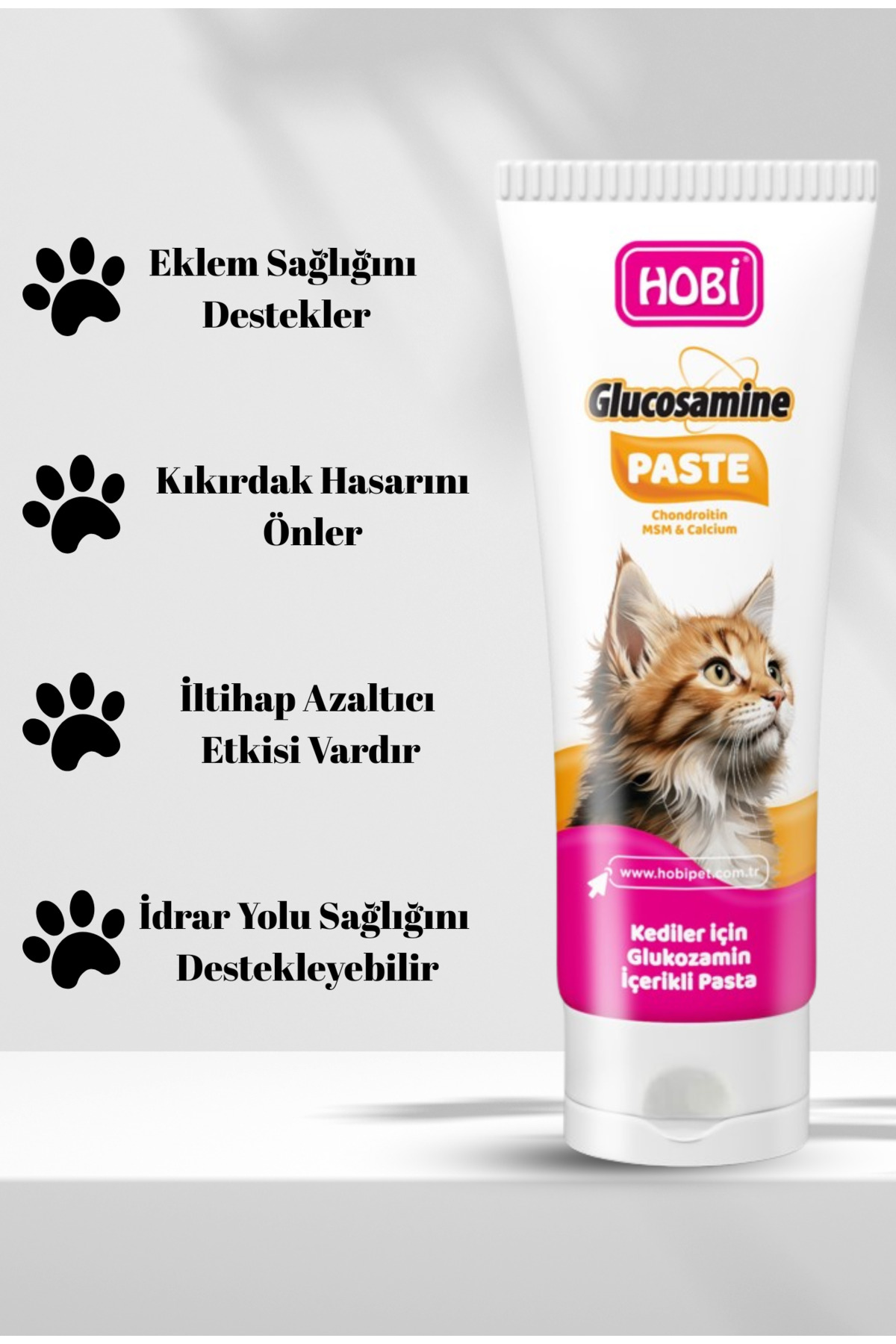 Hobi Glucosamine Paste Kediler İçin Glukozamin Pastası 100Gr