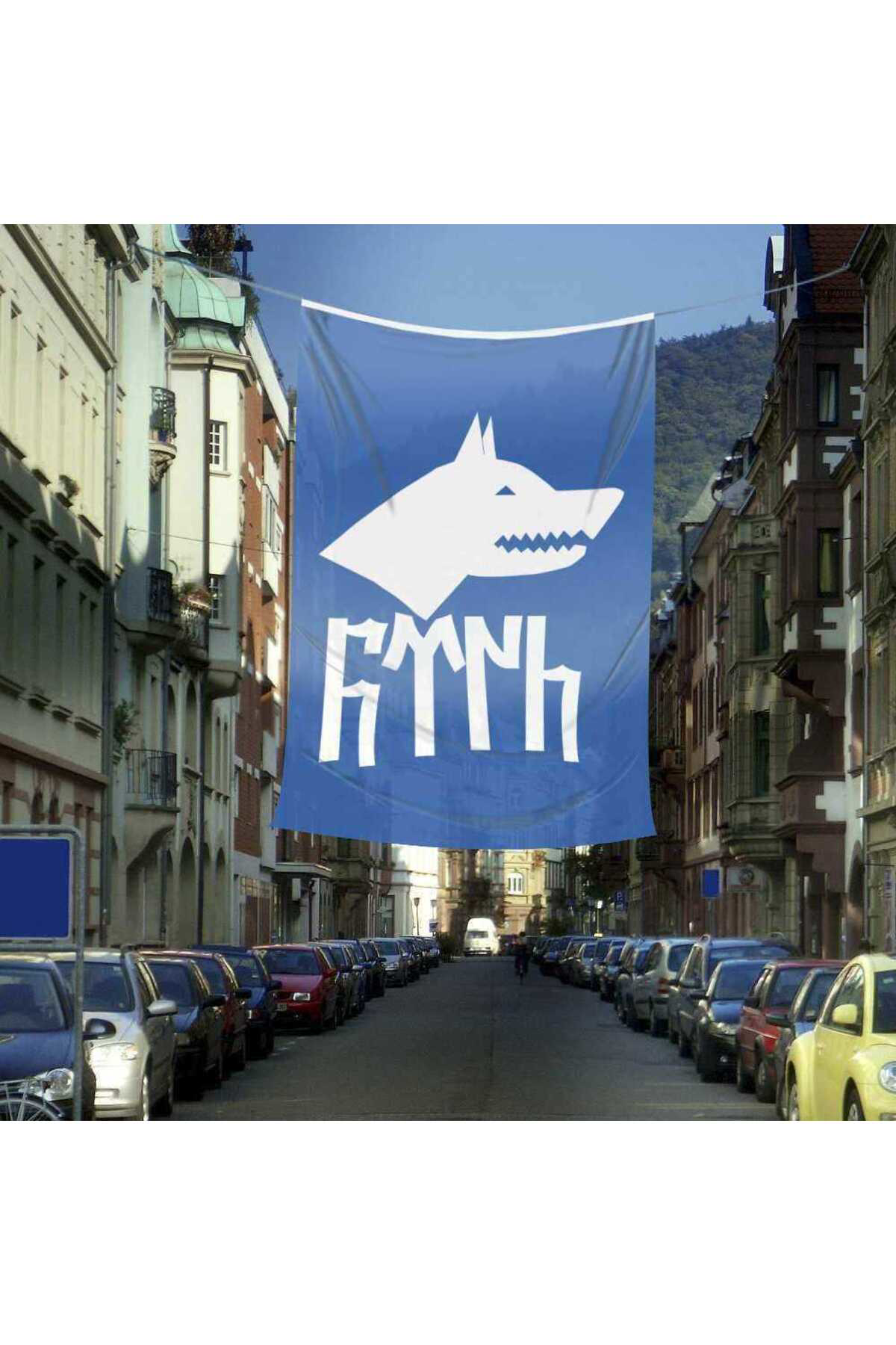 Göktürkçe Türk Yazılı Göktürk Kağanlığı Bayrak 400x600 cm Raşel K