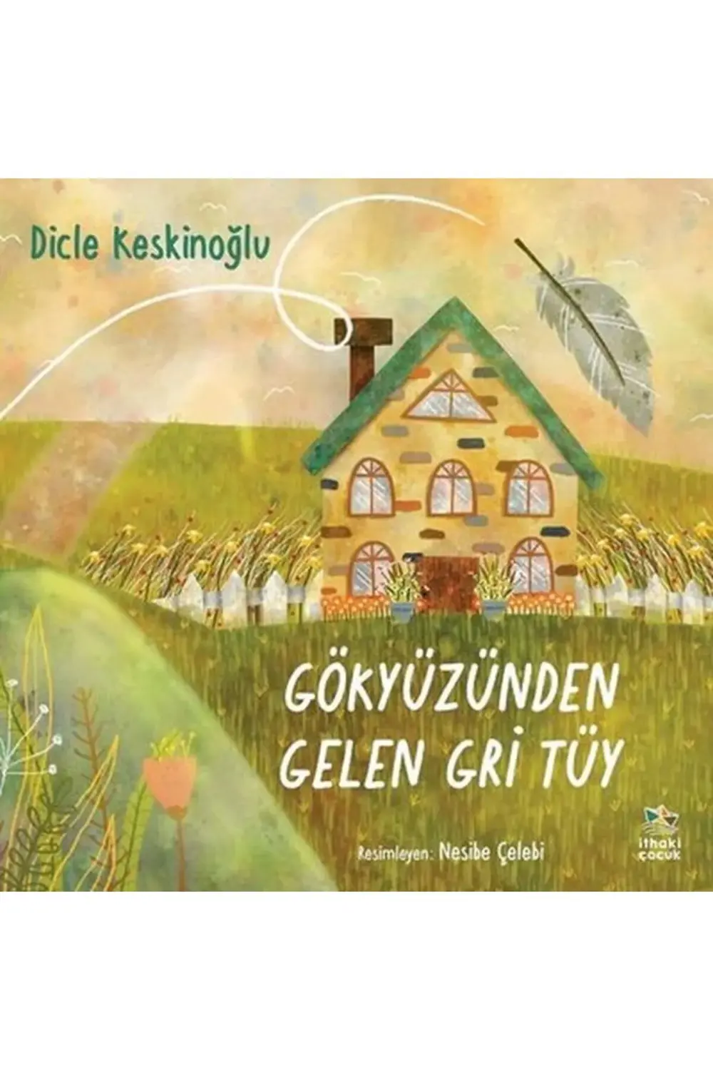 Gökyüzünden Gelen Gri Tüy