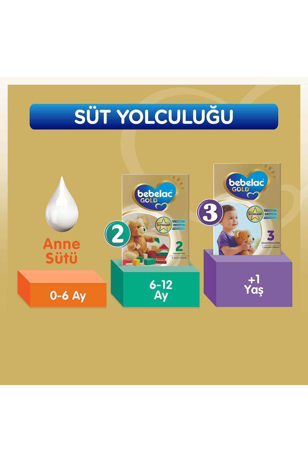 Gold 2 Devam Sütü 800 gr