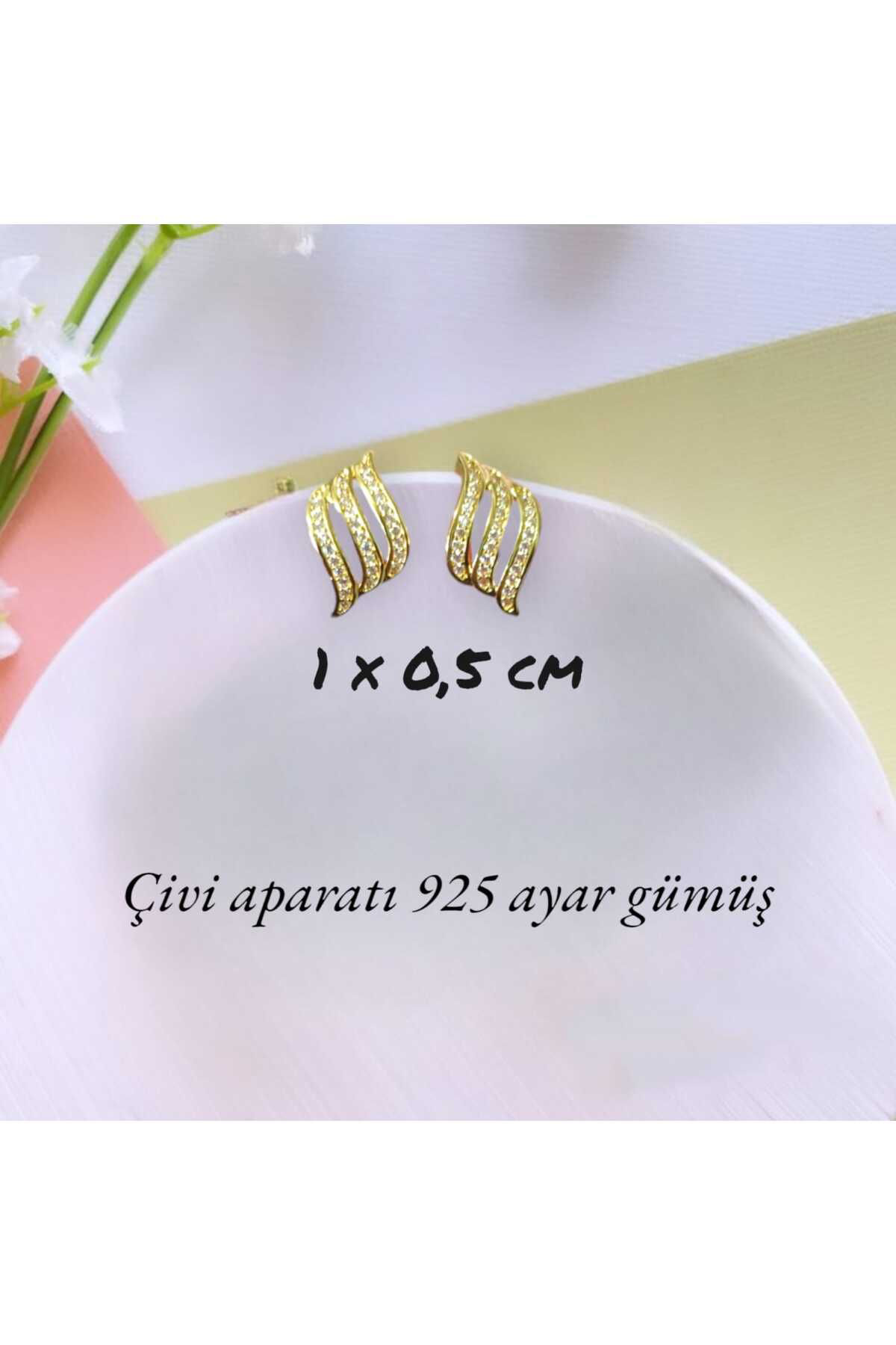Dodemert Home Gold 925 Ayar Gümüş Zirkon Taşli Küpe