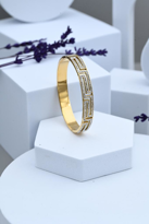 GOLD ZİRKON TAŞLI KELEPÇE ÇELİK BİLEKLİK-KEZTÇBİ44