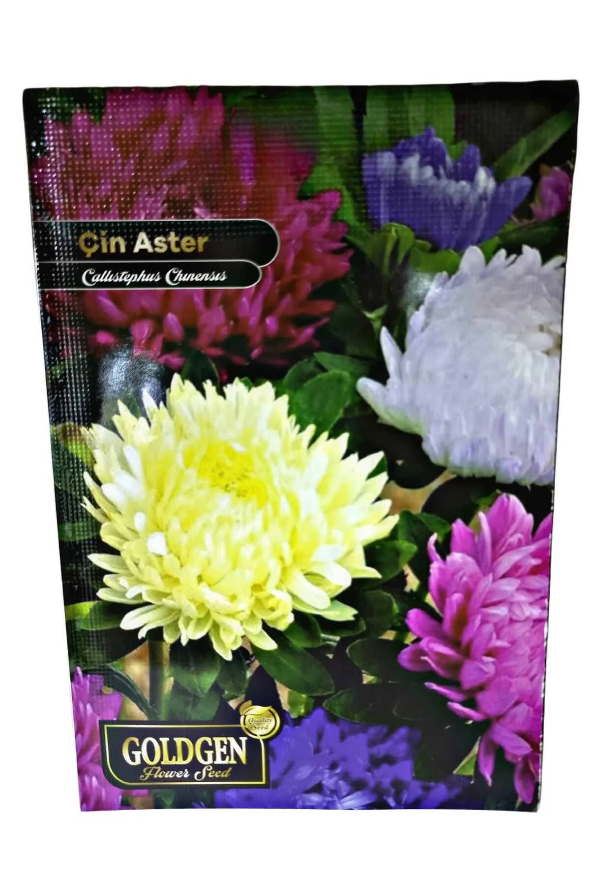 Goldgen Çin Aster Tohumu