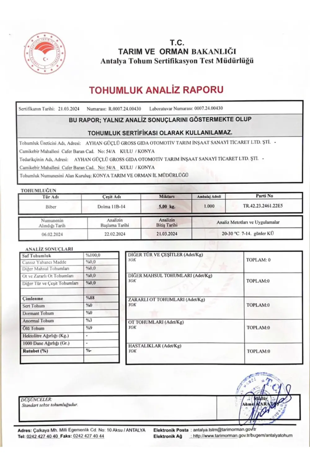 Goldgen Pro Seed Biber Kandil Dolma