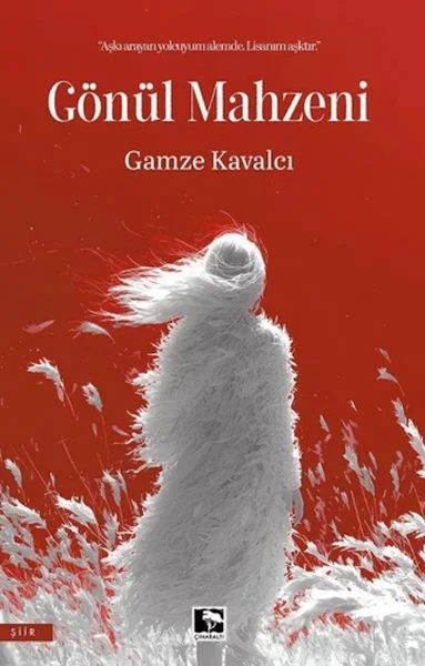 Gönül Mahzeni Fiyatı, Yorumları ve Özellikleri