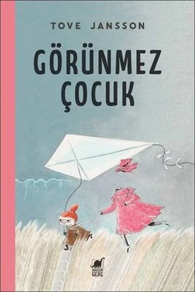 Görünmez Çocuk Fiyatı, Yorumları ve Özellikleri