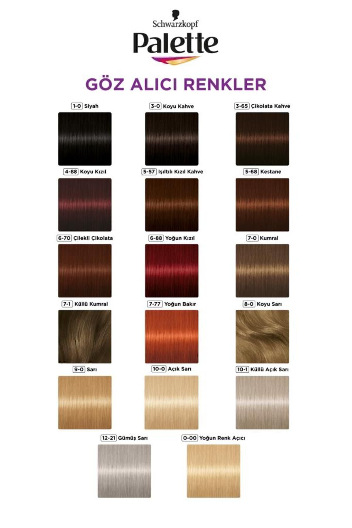 Palette Göz Alıcı Renkler 3-0 Koyu Kahve X 2 Adet