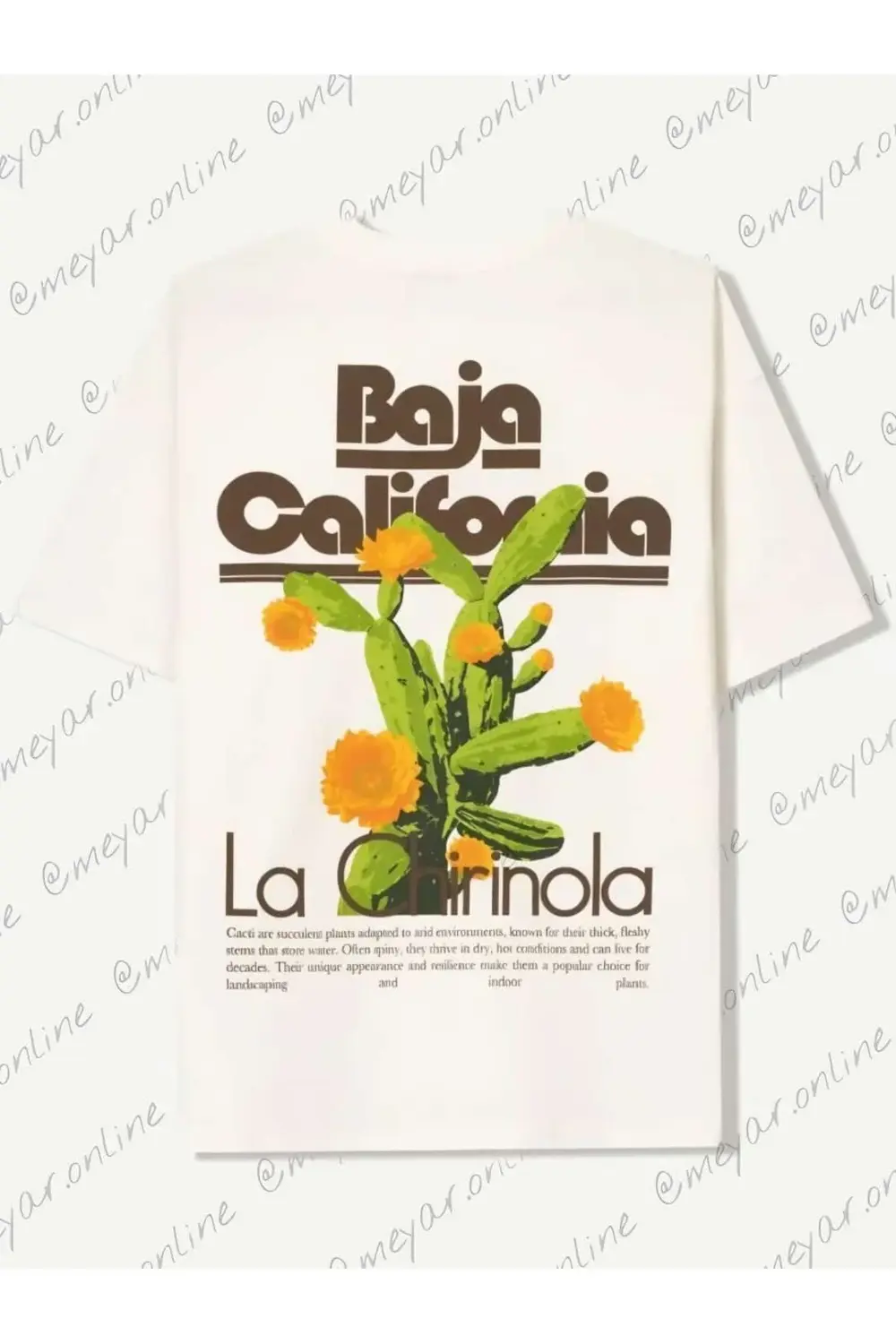 gratiful Desenli kısa kollu oversize t-shirt