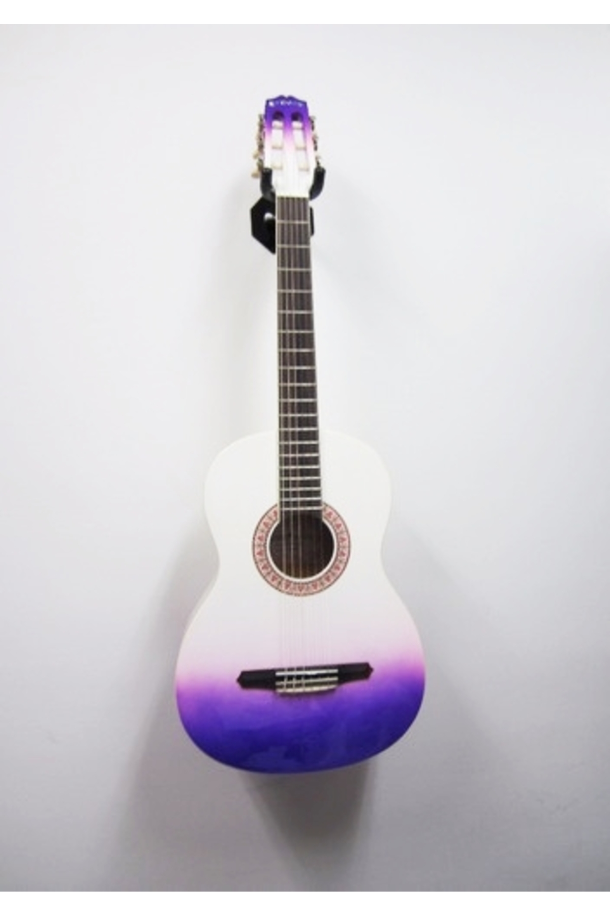 Valencia Grc1kpub Klasik Gitar Gypsy Rose Set (Gigbag, Strap, Sticke Klasi