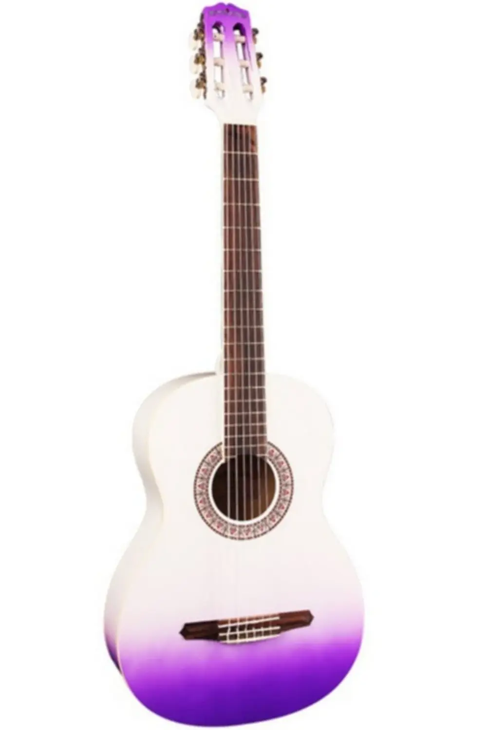 Valencia Grc1kpub Klasik Gitar Gypsy Rose Set (Gigbag, Strap, Sticke Klasi