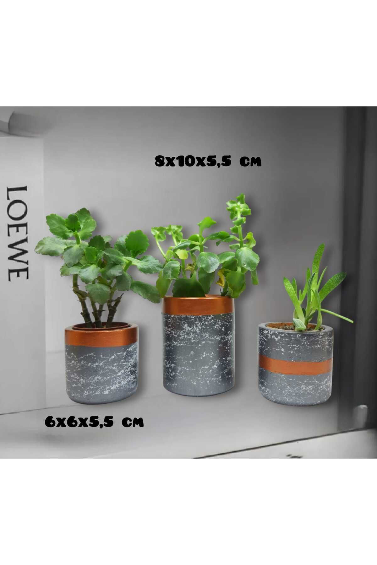 Dodemert Home Gri Efektli Beton Saksı & Mumluk & Kalemlik 3 Lü