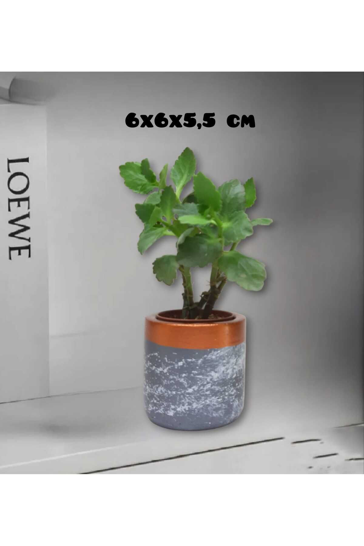 Dodemert Home Gri Efektli Beton Saksı & Mumluk & Kalemlik