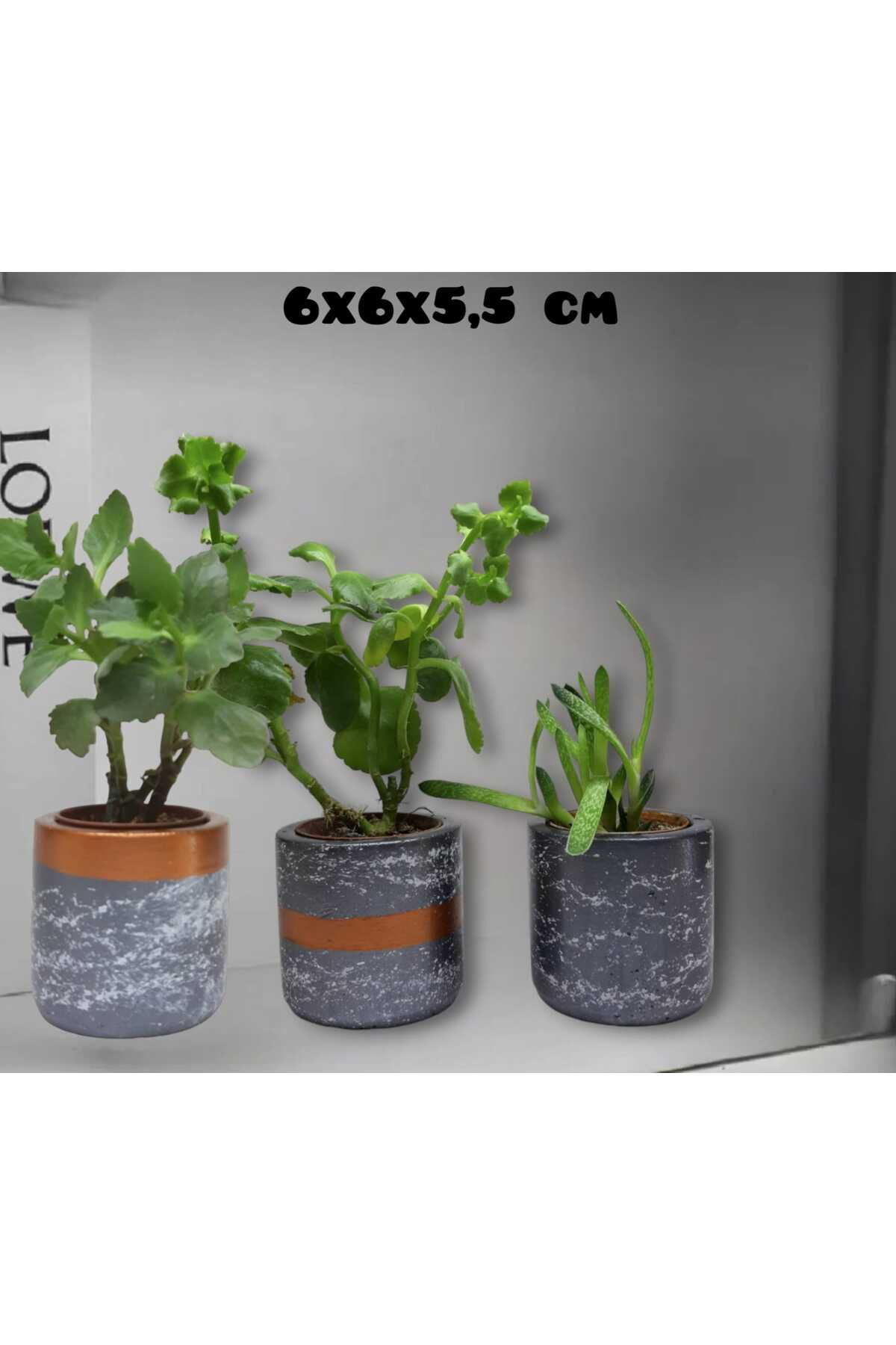 Gri Efektli Beton Saksı & Mumluk & Kalemlik 3lü