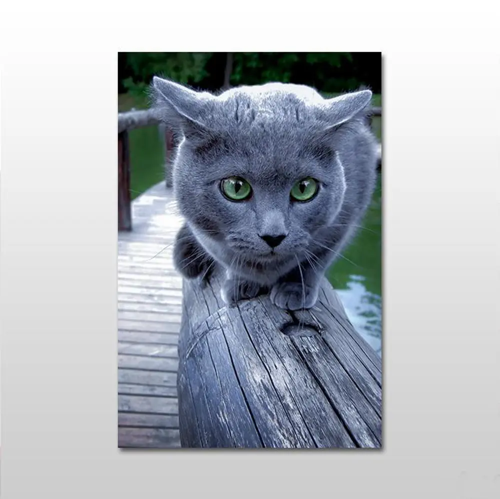 Gri Kedi Kanvas Tablo