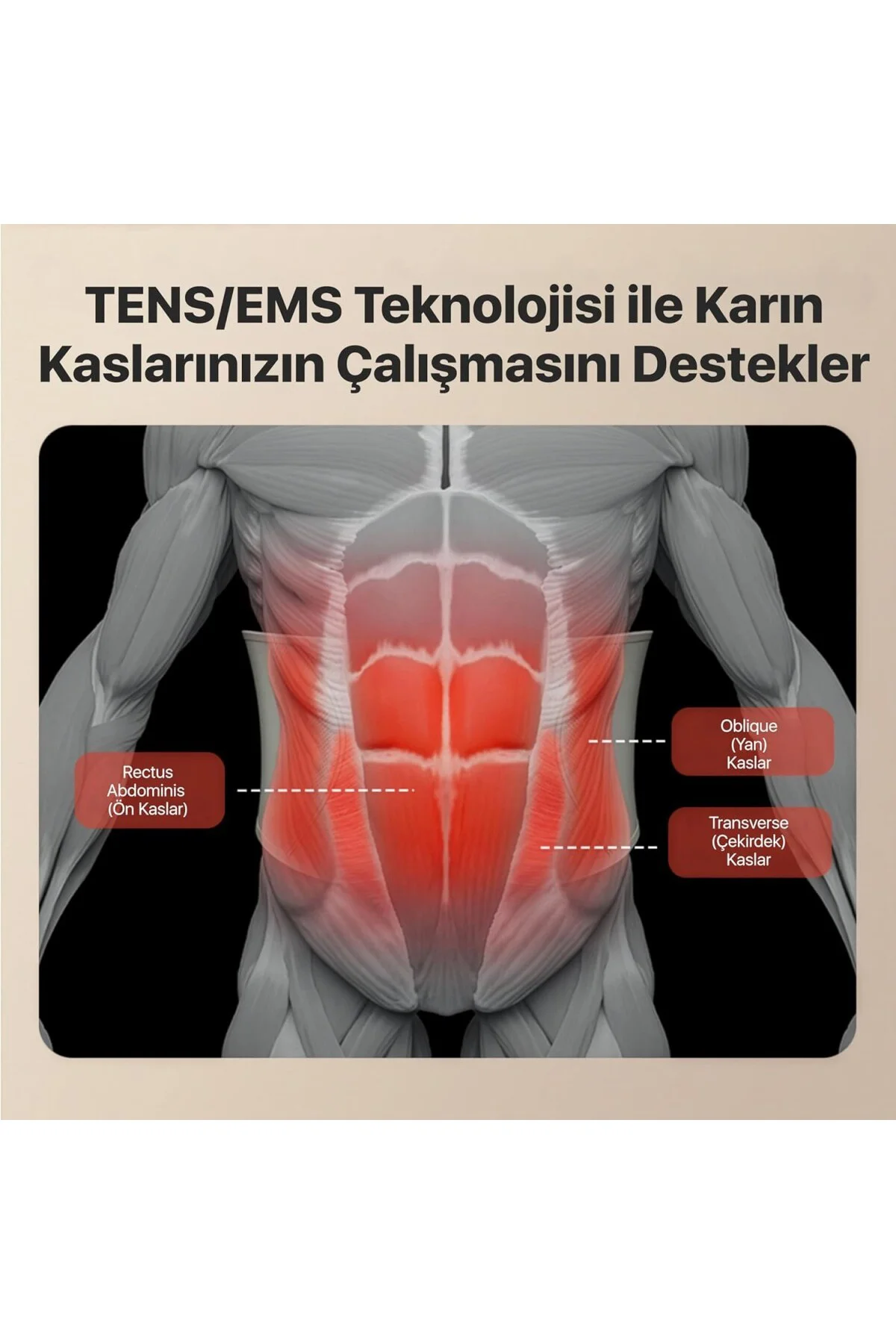 GS300 TENS-EMS Akıllı Taşınabilir Karın Masaj Aleti/Robotu | Isı 