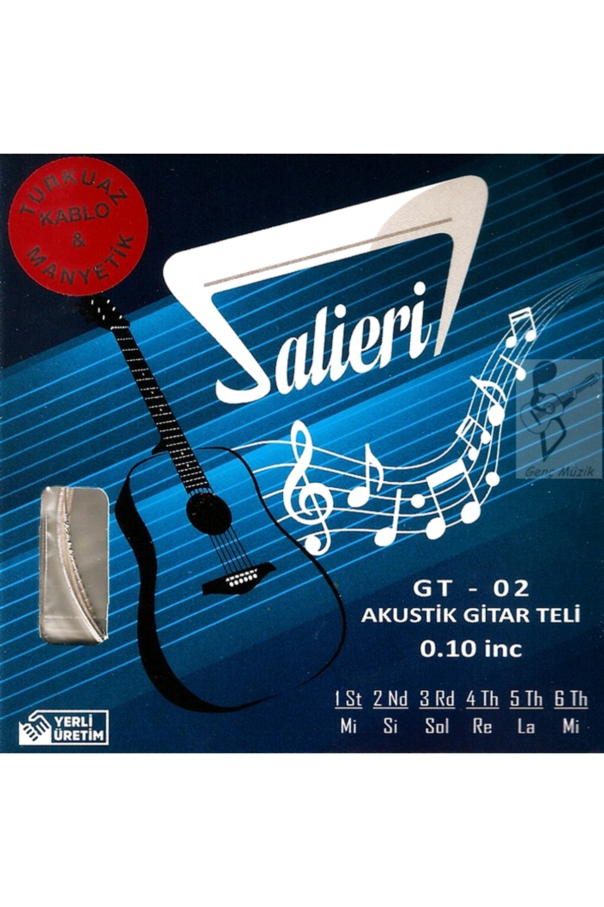 GT02 Akustik Gitar Teli - 010 Takım