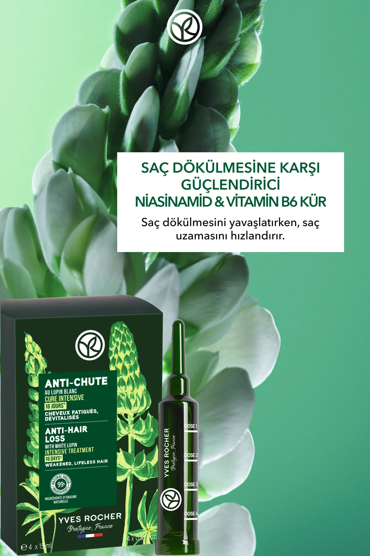 Güçlendirici Niasinamid Vitamin B6 Kür - Saç Dökülmesine Karşı / 