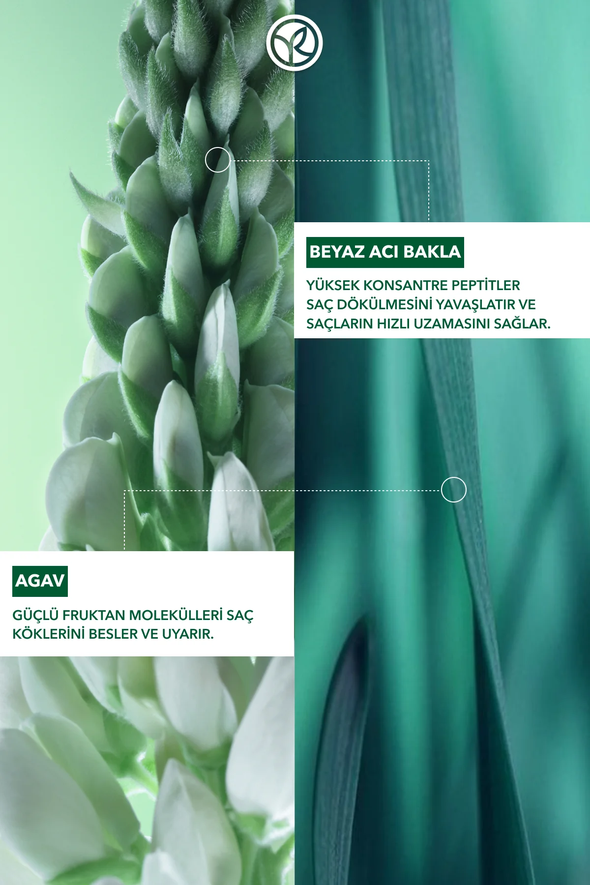 Güçlendirici Prebiyotik Saç Kremi - Saç Dökülmesine Karşı / Anti-