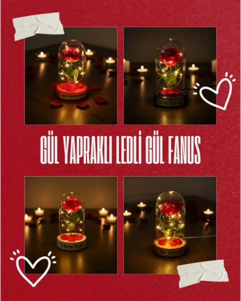 Gül Yapraklı Ledli Gül Fanus