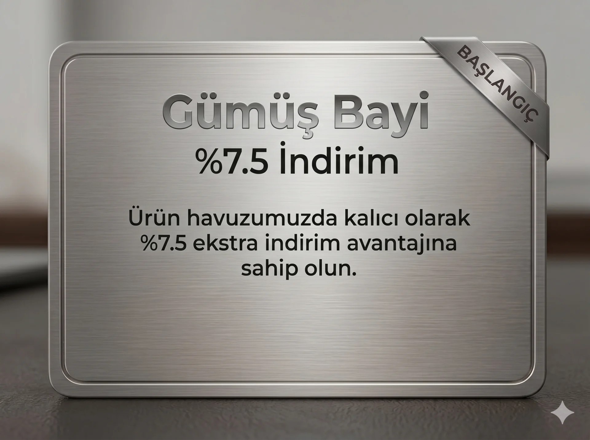 Gümüş Bayi Paketi