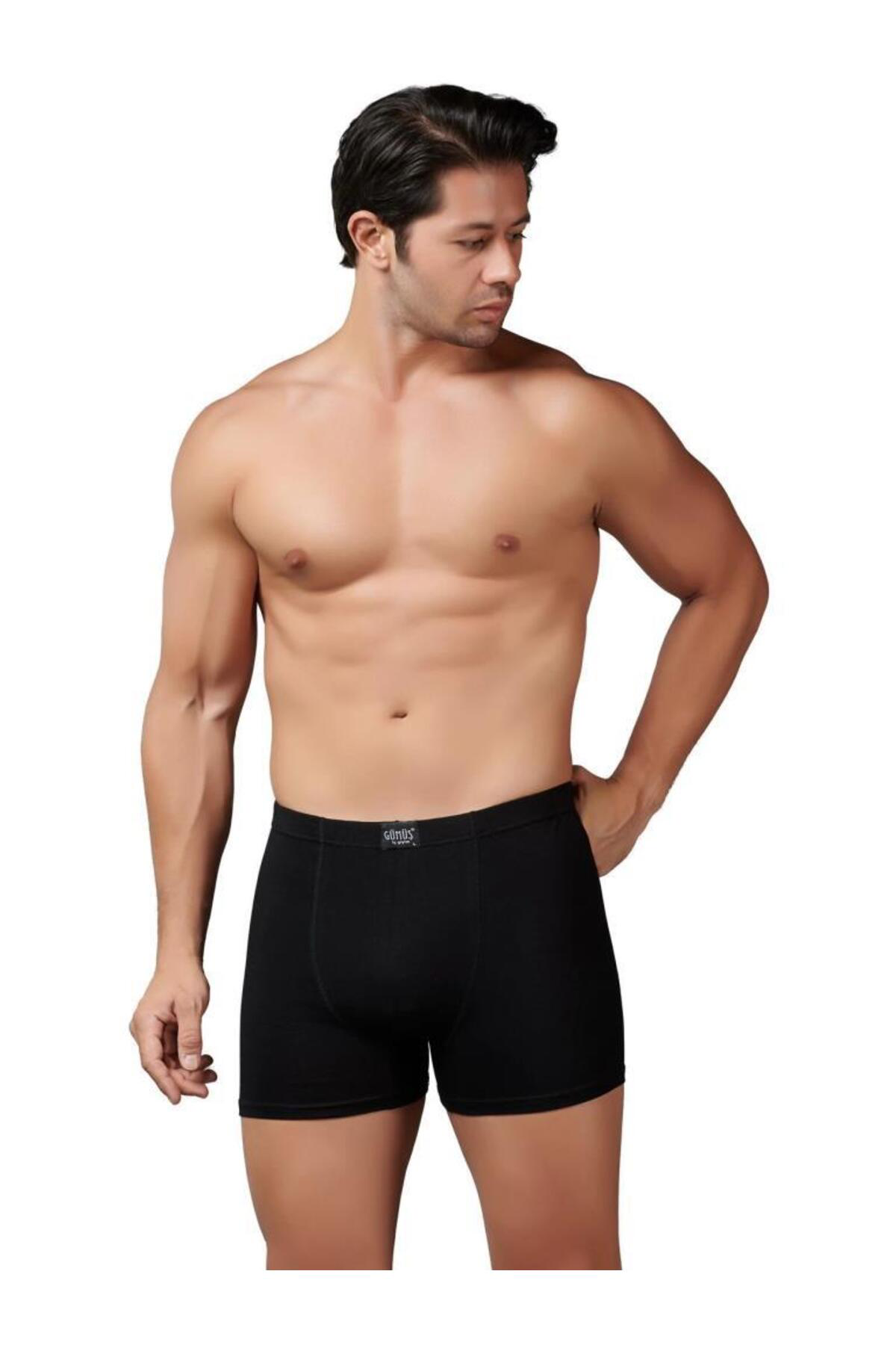 Gümüş Erkek Modal Elastan Boxer 7009