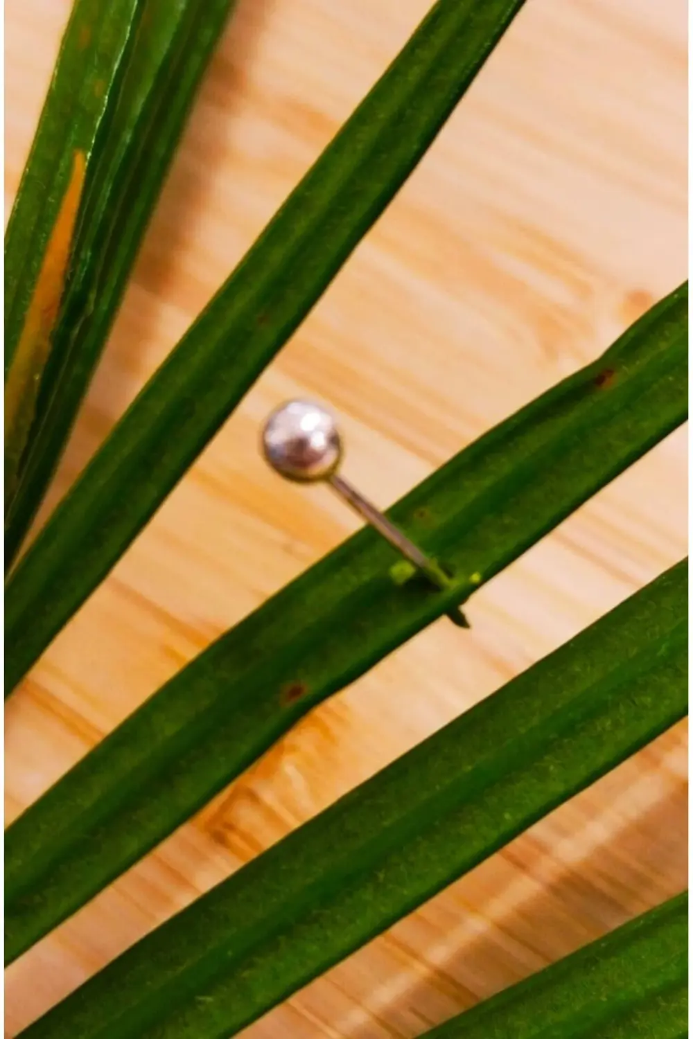 Gümüş Hızma 1. Kalite ve Şık Tasarım