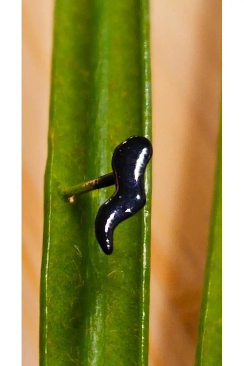 Gümüş Hızma 1. Kalite ve Şık Tasarım