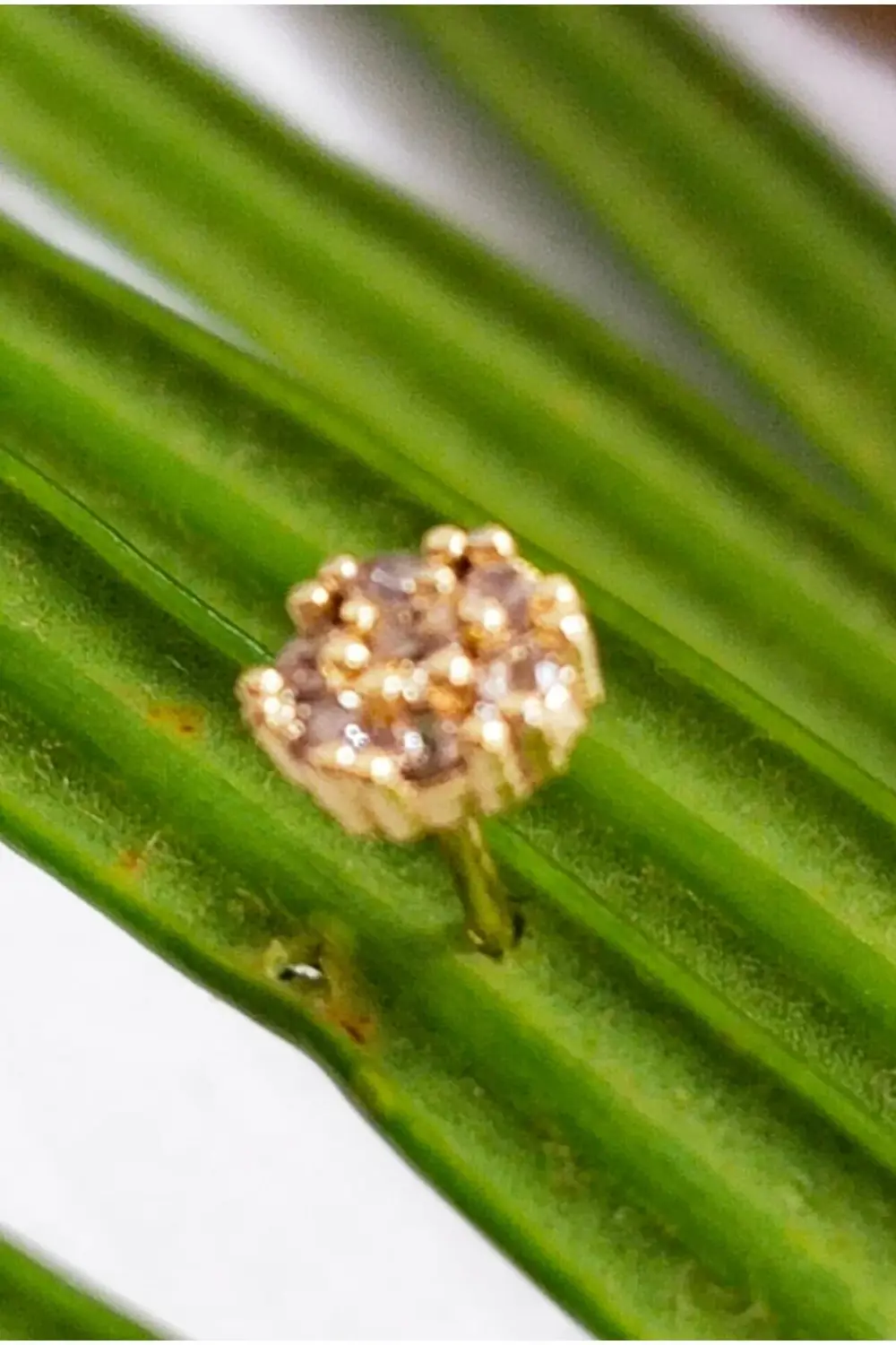 Gümüş Hızma 1. Kalite ve Şık Tasarım