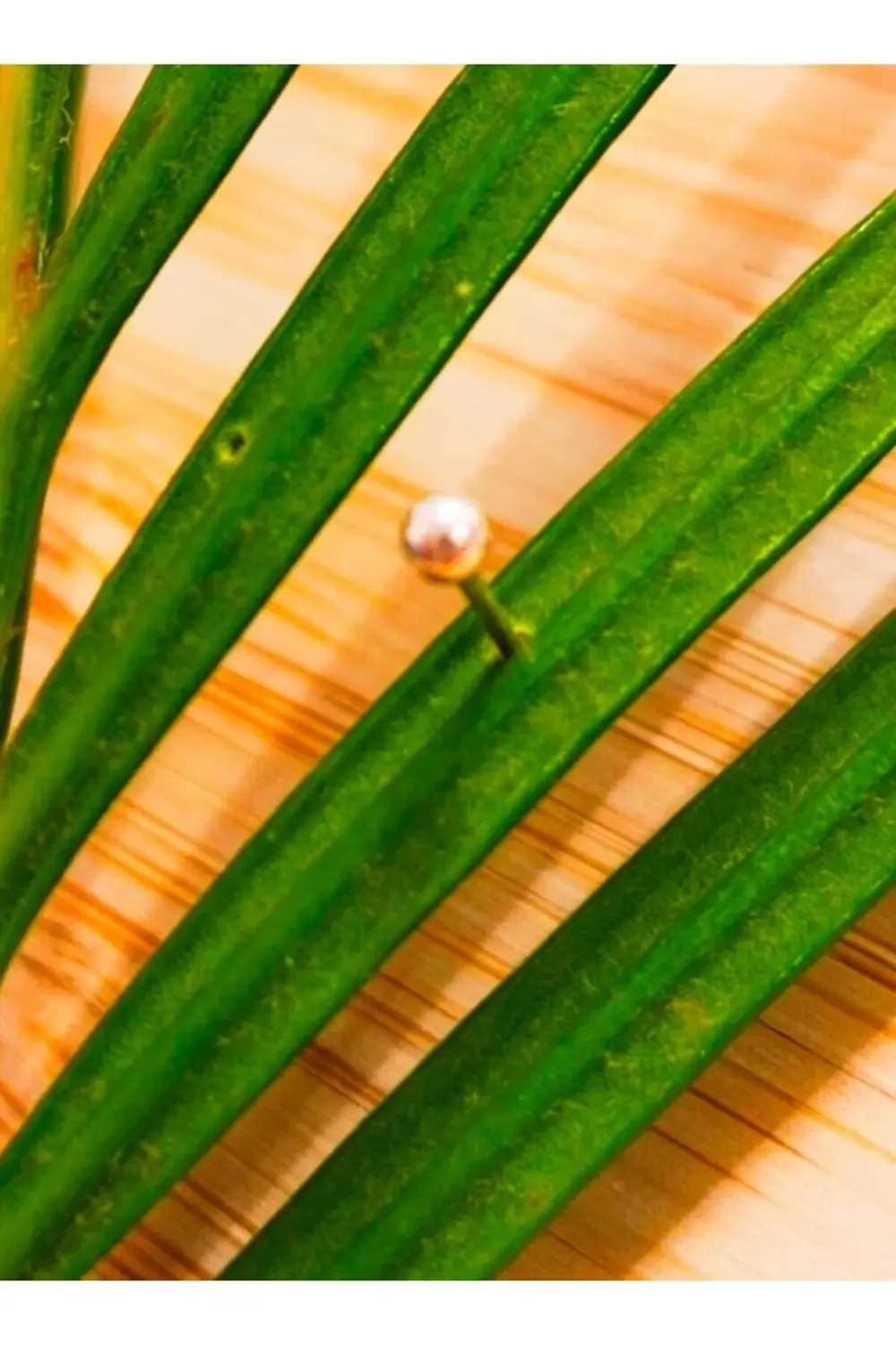 Gümüş Hızma 1. Kalite ve Şık Tasarım