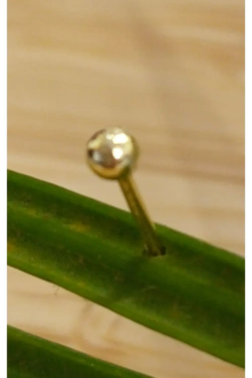 Gümüş Hızma 1. Kalite ve Şık Tasarım