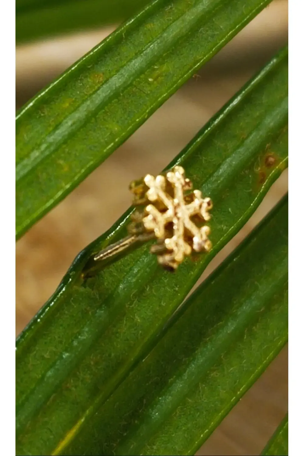 Gümüş Hızma 1. Kalite ve Şık Tasarım