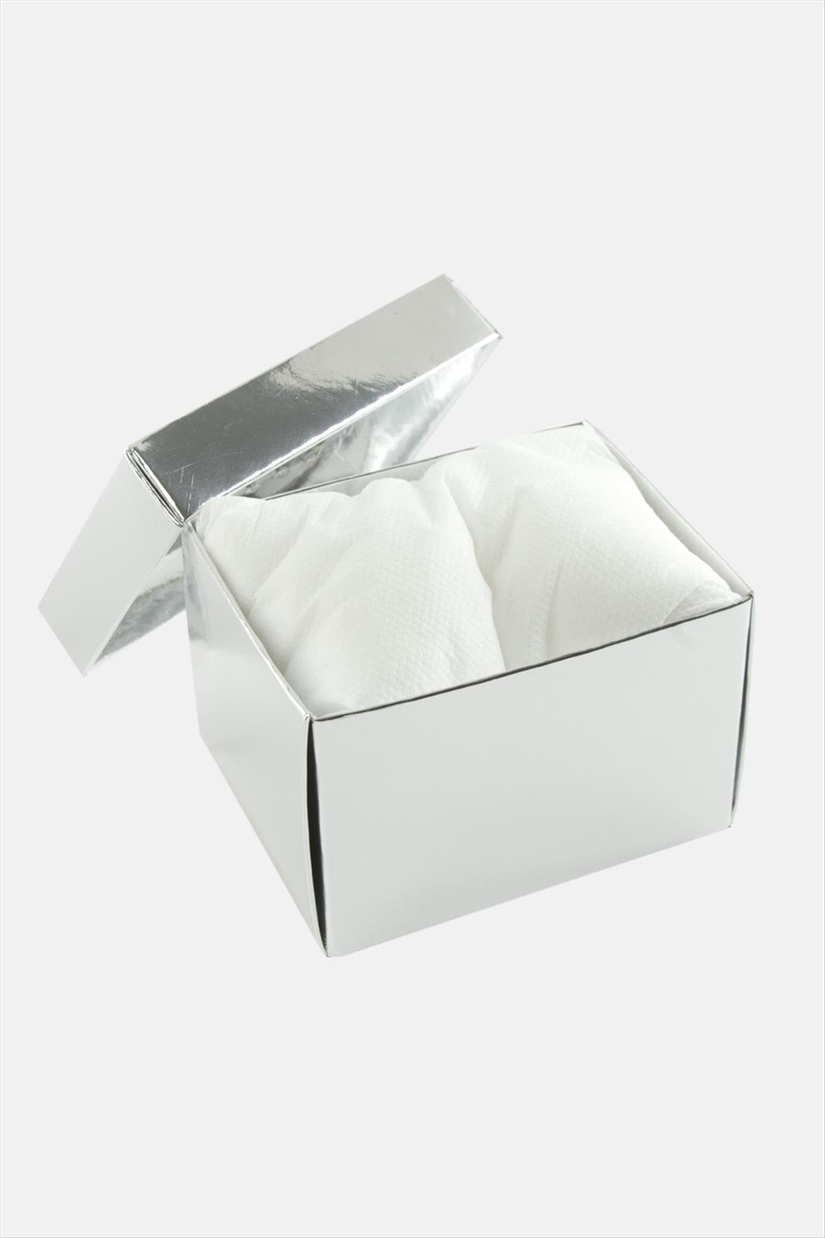 Gümüş Renkli Kapaklı Saat Kutusu