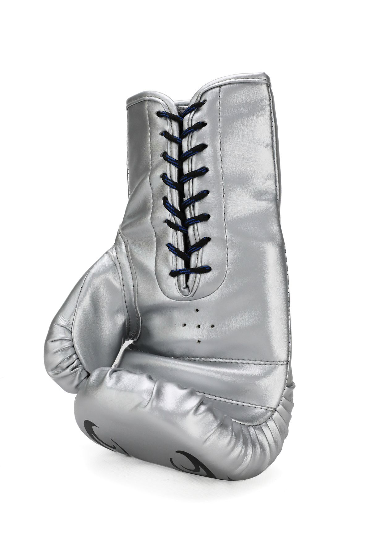Titan Sport Gümüş (Silver) İpli  Boks Eldiveni